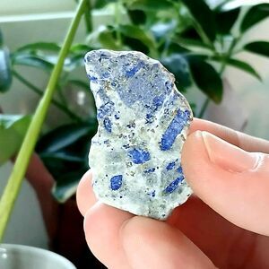 Raw Lapis Lazuli Crystal Specimen, Small Home Office Garden Decor, Jewelry DIY